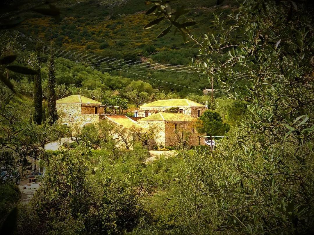 Tsivouli Accommodation Lithakia  Exteriör bild