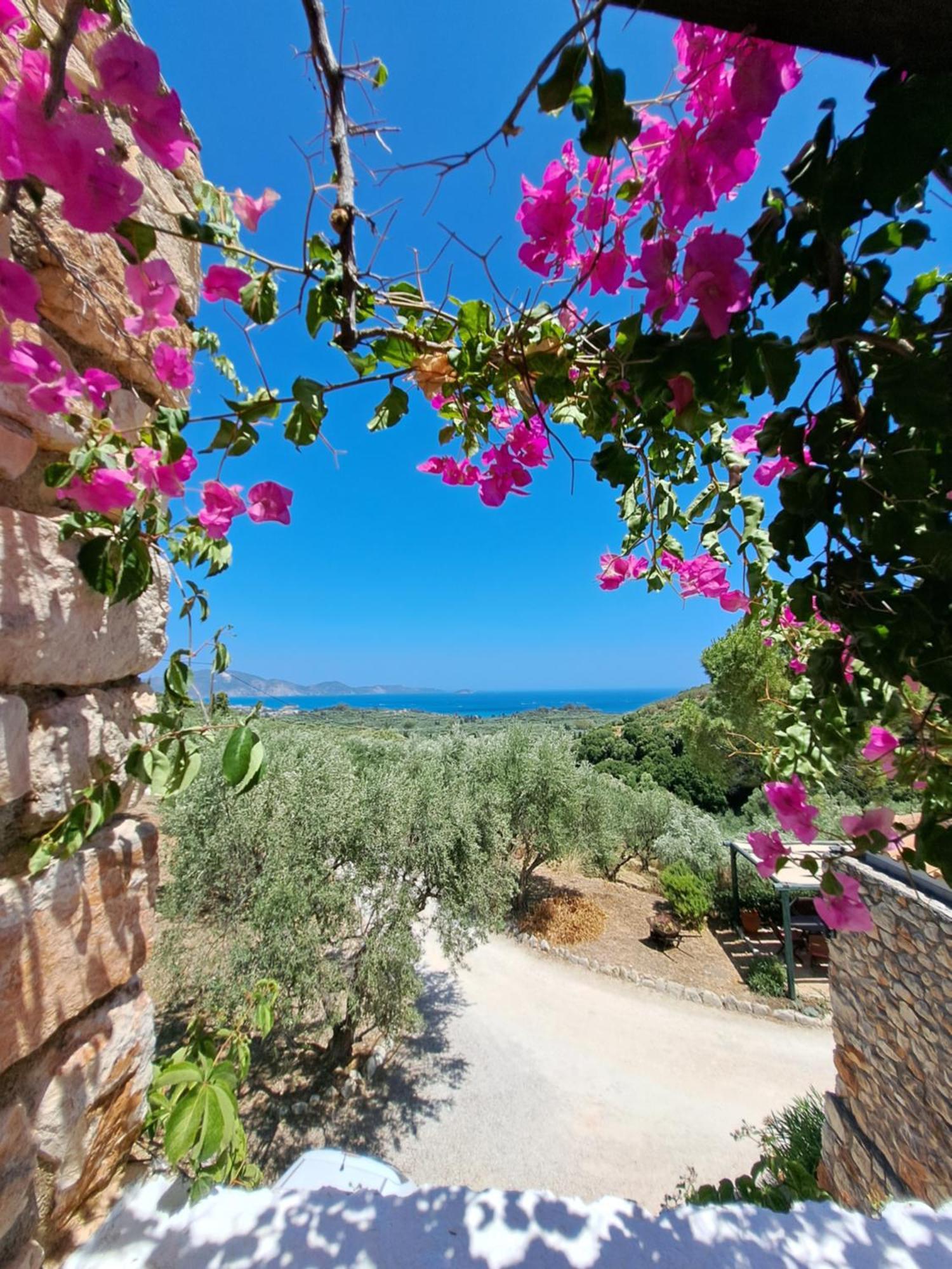 Tsivouli Accommodation Lithakia  Exteriör bild